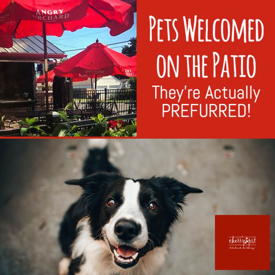 pets-on-the-patio-cherry-pit